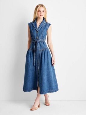 Target Future Collective Jenee Naylor Denim Button-Front Belted Midi Dress